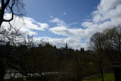 DSC_7290 (Large).JPG